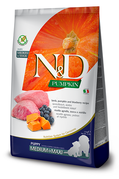 N&D Pumpkin Lamb & Blueberry Puppy Medium/Maxi